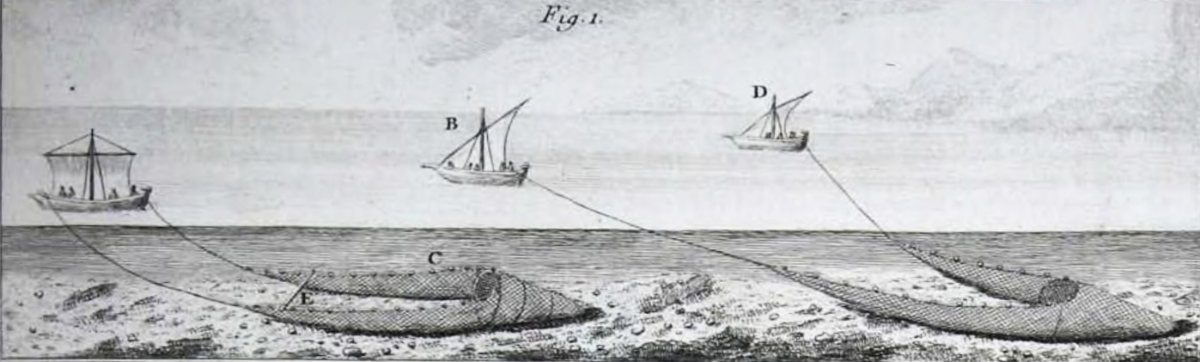 Traité geénéral des pesches -Part1-Duhamel du Monceau_1700_1782.png