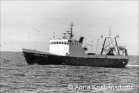 BARDI 1979.jpg