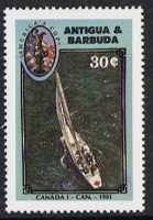 Image (189).jpg