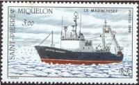 marmouset z.jpg