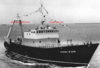 marmouset.jpg