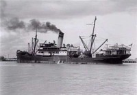 marsina.jpg