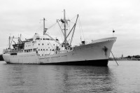 moana roa 1.jpg