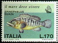 A V1.jpg (67.02 KiB) Viewed 12770 times A V1.jpg