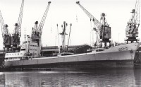 salah el din.jpg