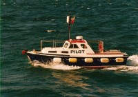 epron d'or.jpg