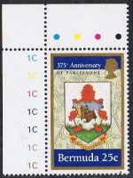 Image (21).jpg