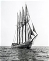 cumberland queen.jpg