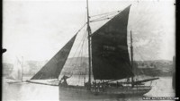 wanderer-300x169.jpg