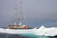tara1- 1989 year  name Antarctica  (2).jpg