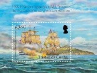 Hornet-Penguin-2-50-Battle-234h.jpg