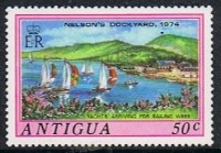 Image (11).jpg