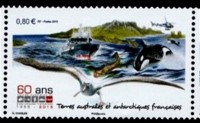 cap horn 1.jpg