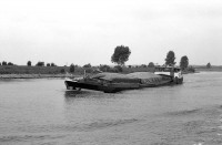 trio 1901.jpg