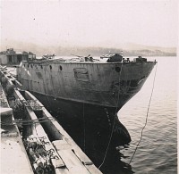fantome in Tamar River.jpg