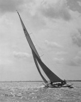 RITA V.jpg