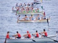 GOZZO races.jpg