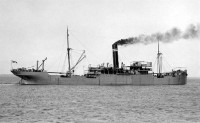 Wonganella-02.jpg