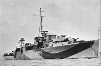 starling f.png