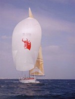 Matador2_1.jpg