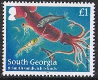 Image (15).jpg