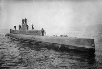 seal G-1.jpg