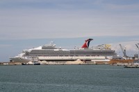 carnival sunshine.jpg