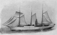 southern_cross.V jpg (2).jpg