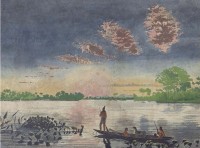 hercule florence's watercolor.jpg