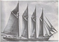 Image (28).jpg