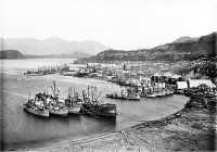 LEITH HARBOUR whaling station..jpg