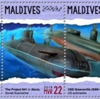 2018  project 941 AKULA submarine (2).jpg