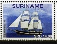 2019 royalist (2).jpg