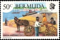 1981 TRINIDAD Onion-shipping-19th-century.jpg