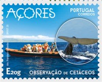 2020 Azores whale watching.jpg