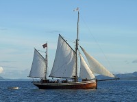 svanhild 4.jpg