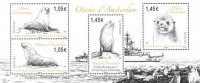 2021 NIVOSE Sea-Lions-of-Amsterdam-Island.jpg