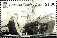 2019 floating dock $1.00.jpeg