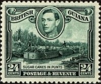 1938 Sugar-canes-in-Punts.jpg