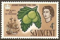 1965 providence Breadfruit.jpg
