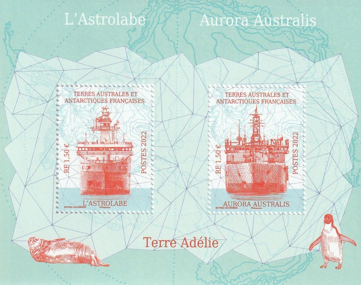 Australis_Adelie.jpg