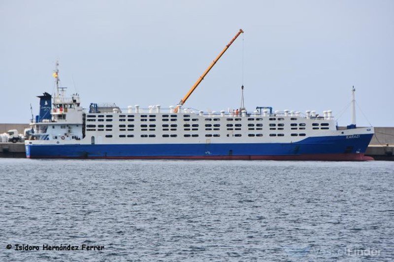 karazi livestock carrier.jpg