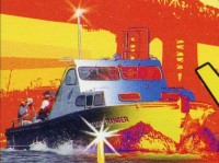 RESCUE RANGER (Medium).jpg