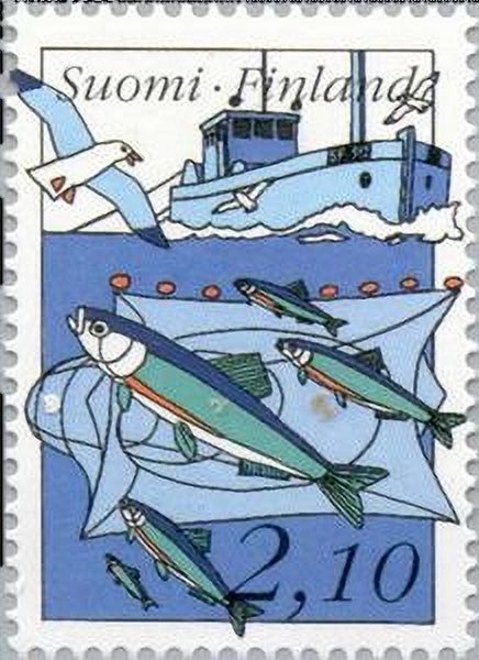 Fishing-Baltic-herring.jpg