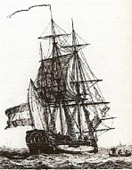 pinkschip002.jpg
