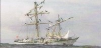 tmp206.jpg