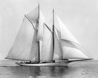 480-shamrock.jpg