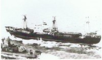 tmp155.jpg