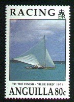 BLUE%20BIRD%20Anguilla%20858.jpg