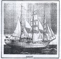 Scan 5.jpeg